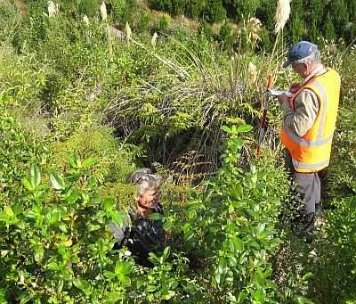 Ngati Whare CFRT, Treaty Claim 2009