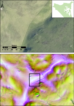 Lidar in Te Tai Tokerau